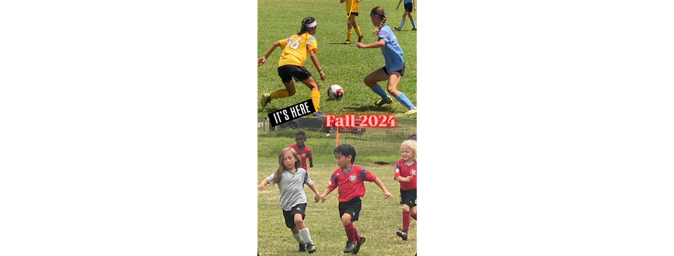 Fall 2024 is in Full Swing!